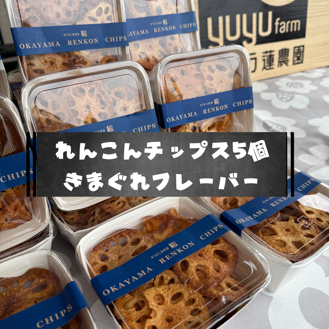 極れんこんチップスきまぐれ詰め合わせセット【5個入り】