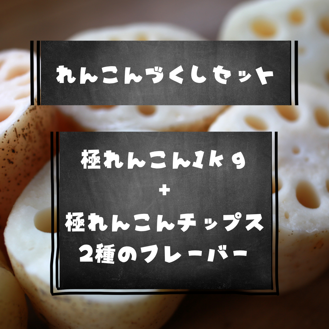 レンコンづくしセット