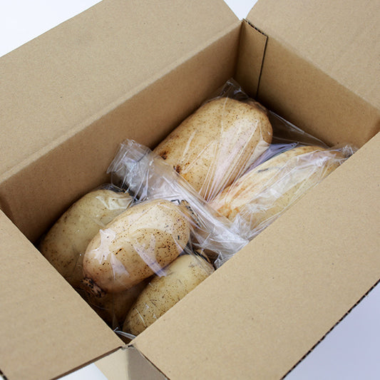 朝堀り新鮮生れんこん1000g以上【送料半額】